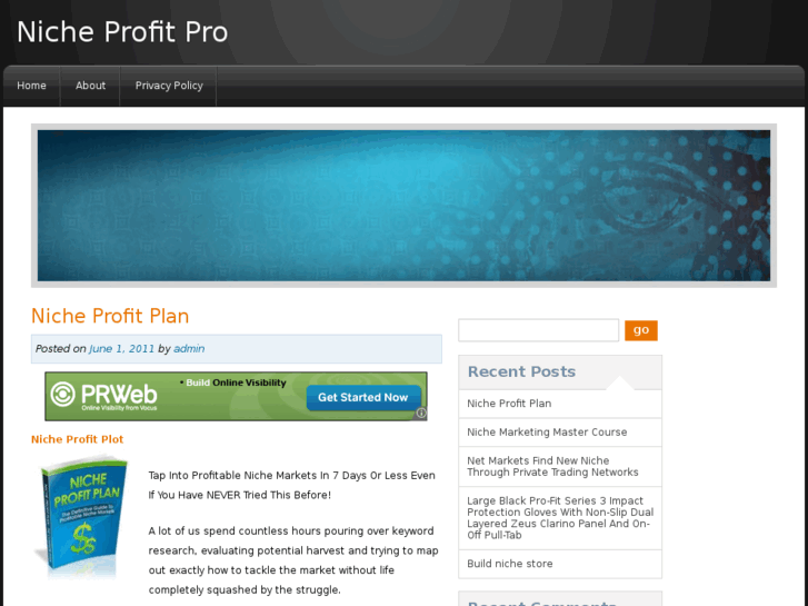 www.nicheprofitpro.com