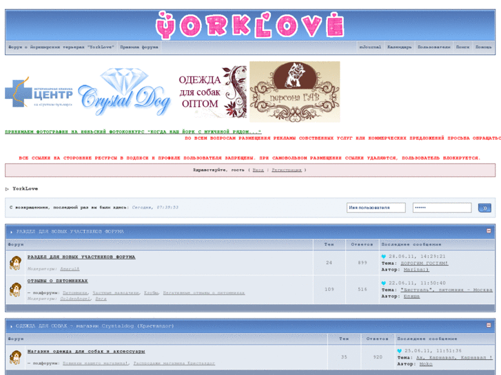 www.yorklove.com