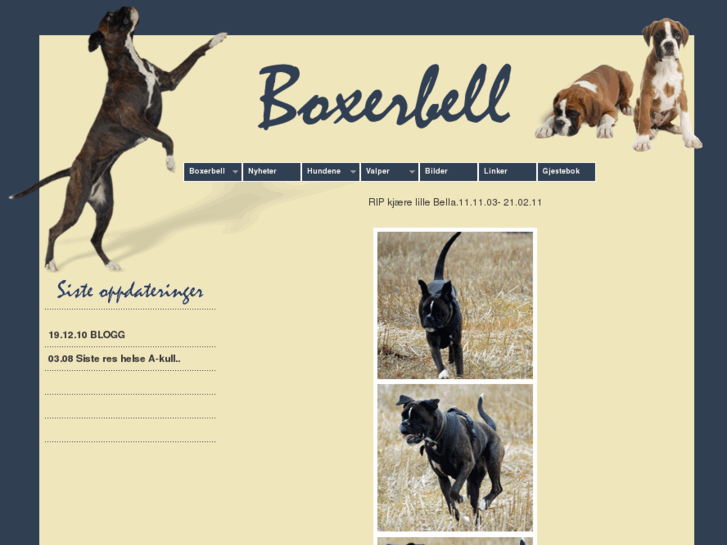 www.boxerbell.com