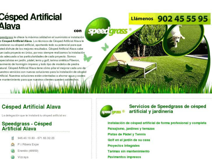 www.cespedartificialalava.com