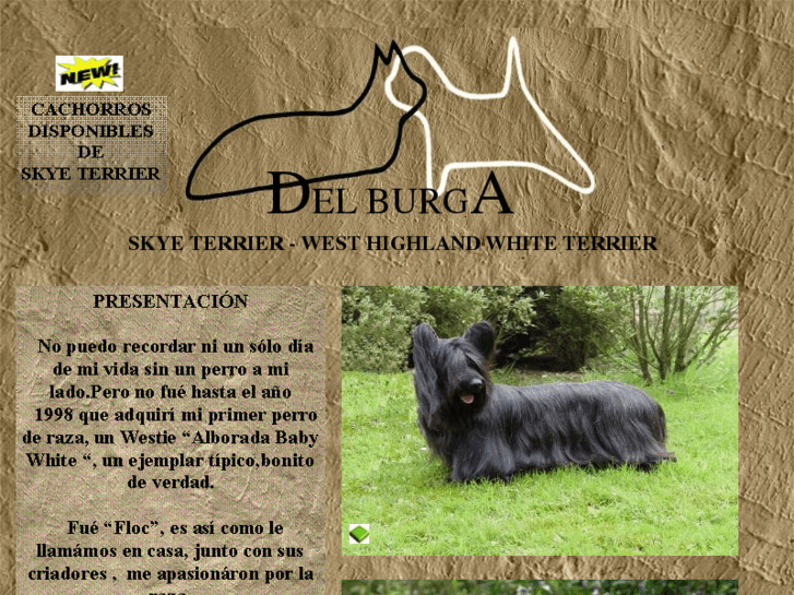 www.delburga-terriers.es