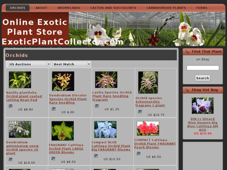 www.exoticplantcollector.com