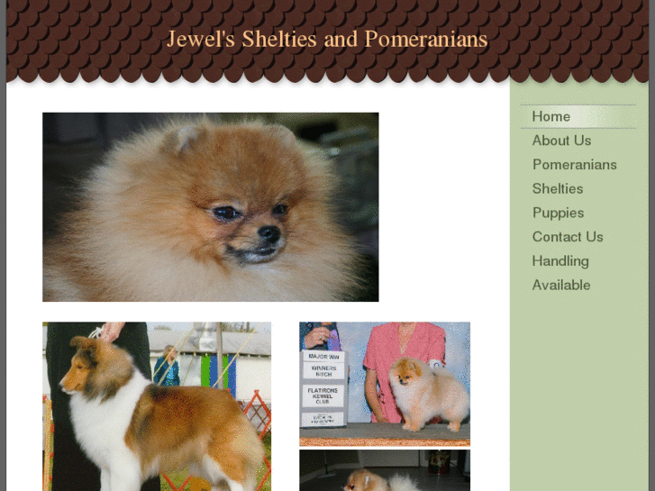 www.jewelsshelties.com