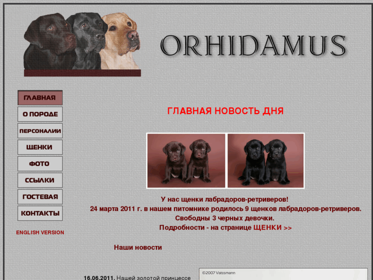 www.orhidamus.ru