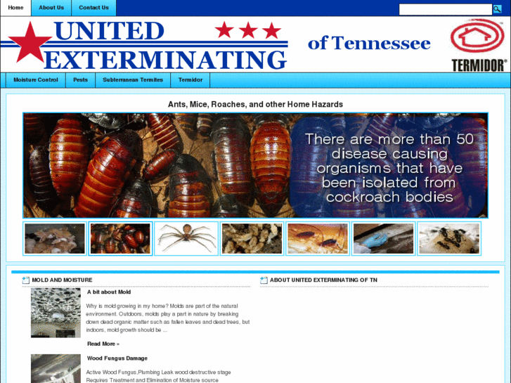 www.unitedexterminatingtn.com