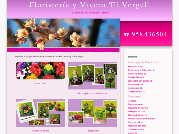 www.floristeriaelvergel.com