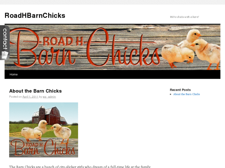 www.roadhbarnchicks.com