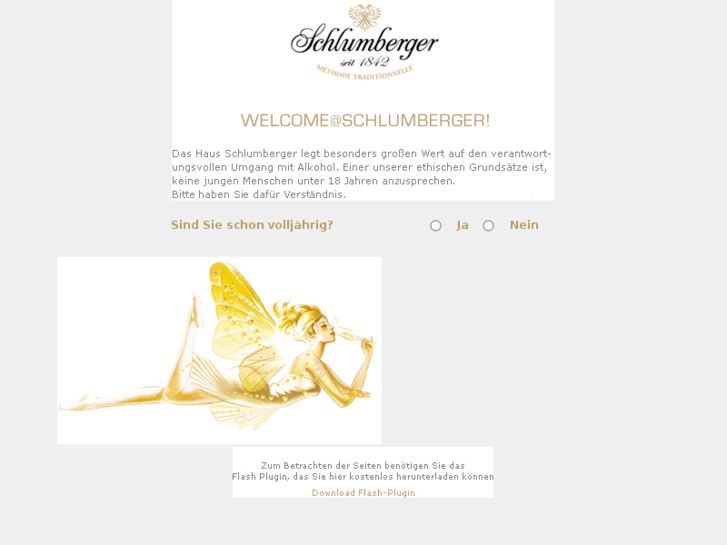 www.schlumberger.biz