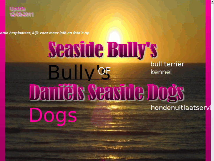 www.seasidebullys.com