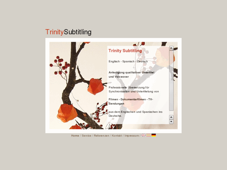 www.trinity-subtitling.com