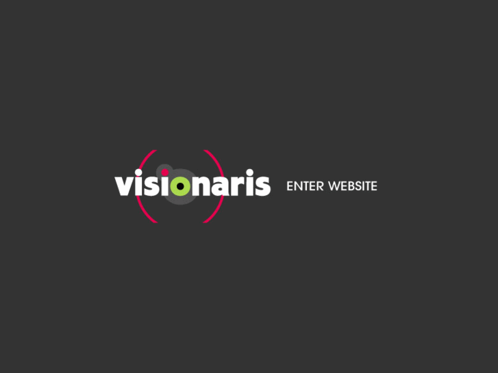 www.visionaris.be