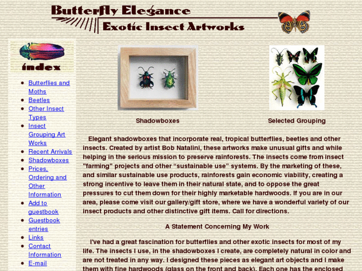 www.butterflybeetle.com