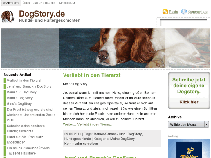 www.dogstory.de