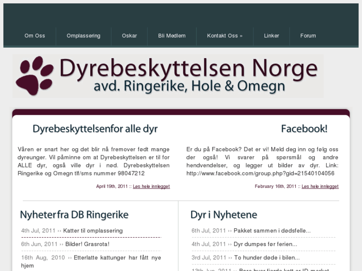 www.dyr-ringerike.com