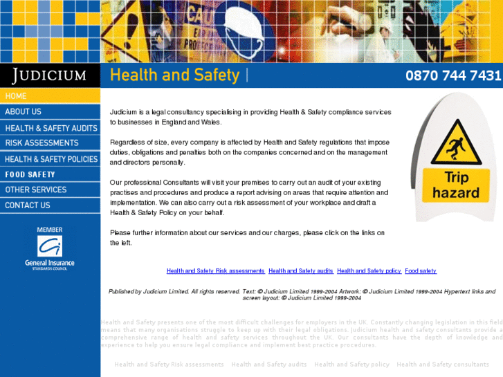 www.healthsafetyconsultancy.biz