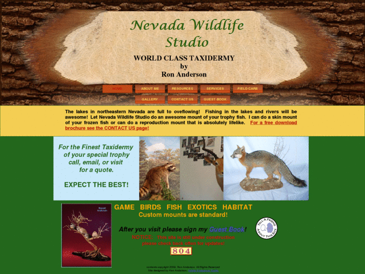 www.nevadawildlifestudio.com