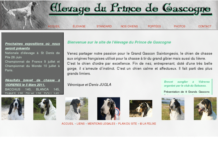 www.princedegascogne.com