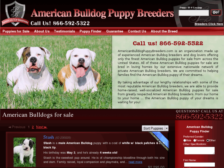 www.americanbulldogpuppybreeders.com