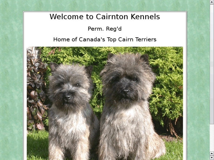 www.cairntonkennels.com