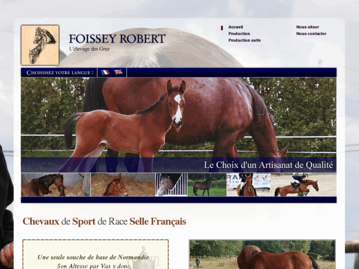 www.eleveur-chevaux-normandie.com