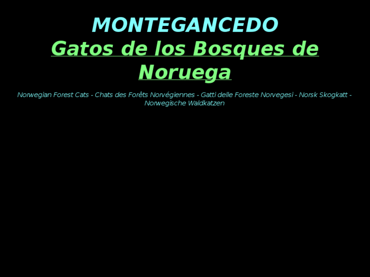 www.gatosbosquedenoruega.net