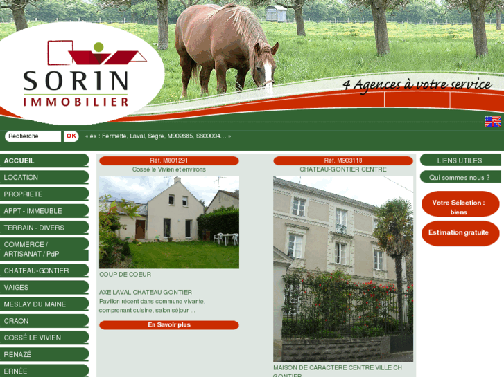 www.sorin-immobilier.com