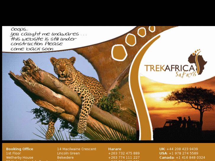 www.trekafrikasafaris.com