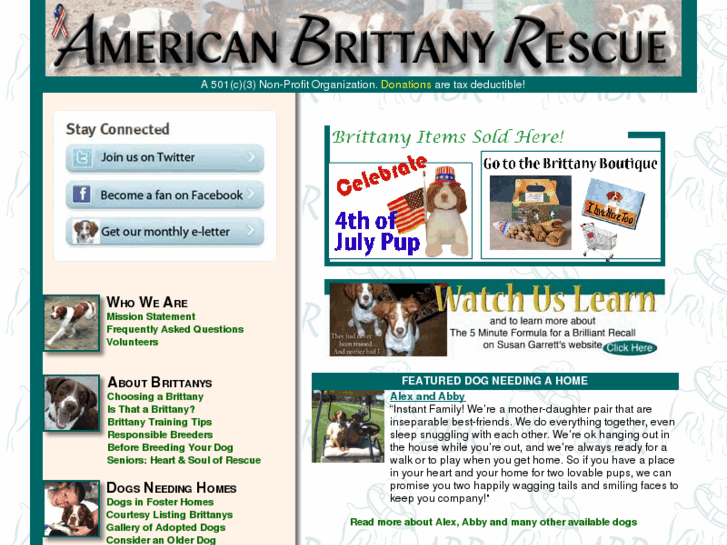 www.brittany-rescue.com