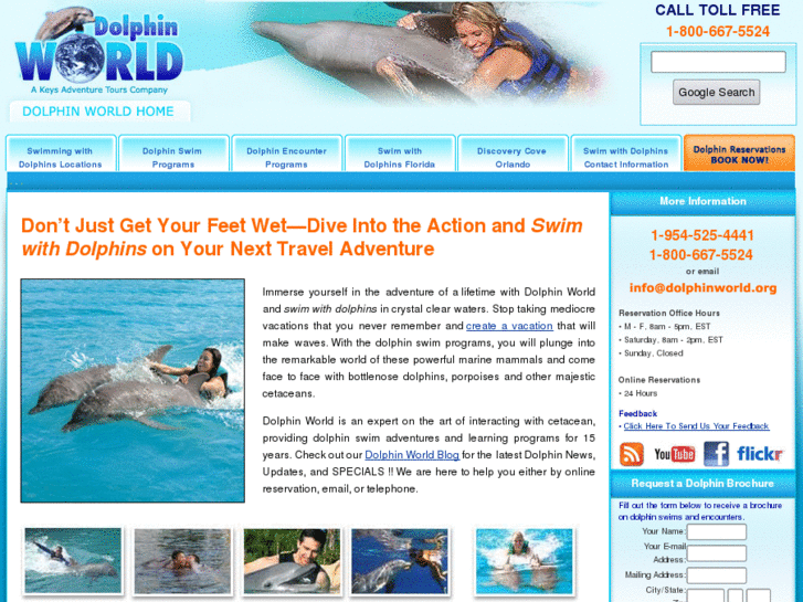 www.dolphinworld.org