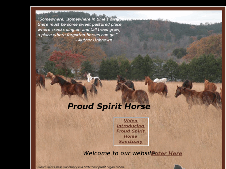 www.horsesofproudspirit.com