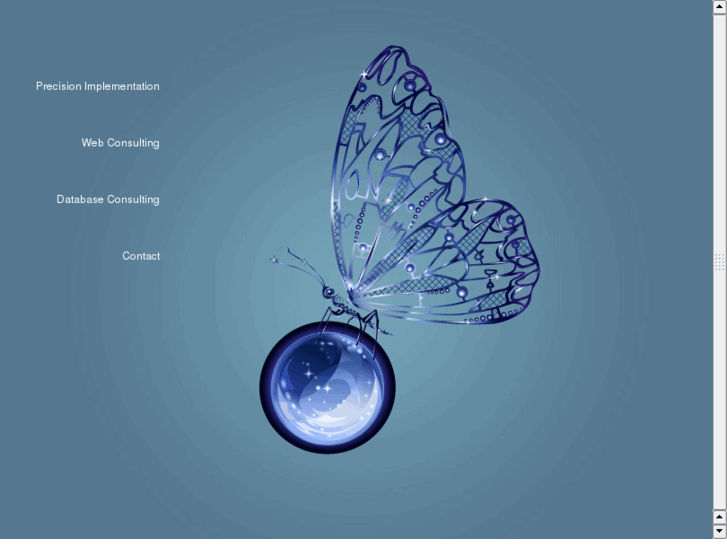 www.precisionimplementation.net