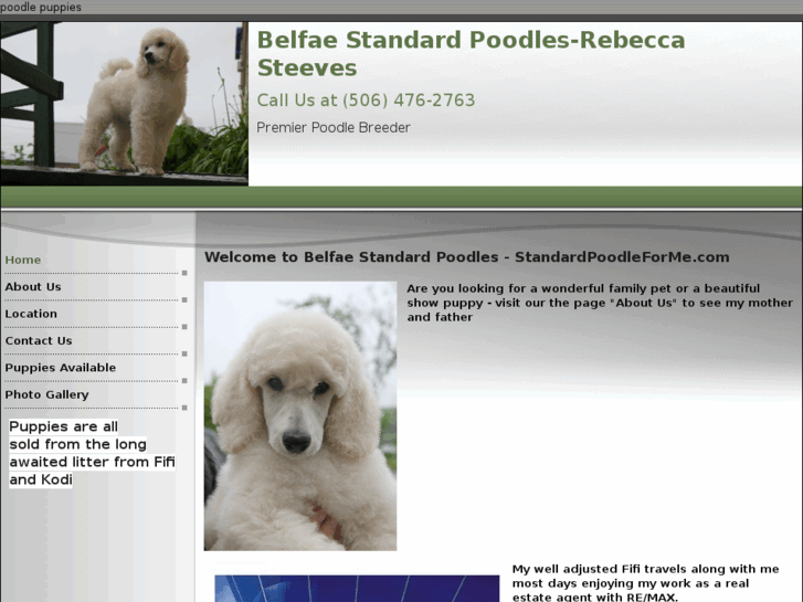 www.standardpoodleforme.com