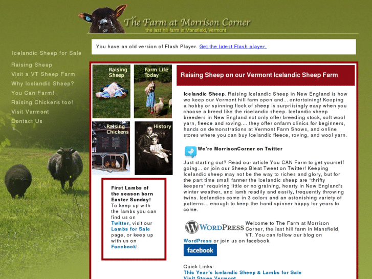 www.vermontsheep.com