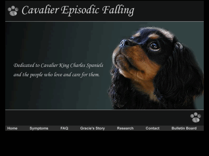 www.cavalierepisodicfalling.com