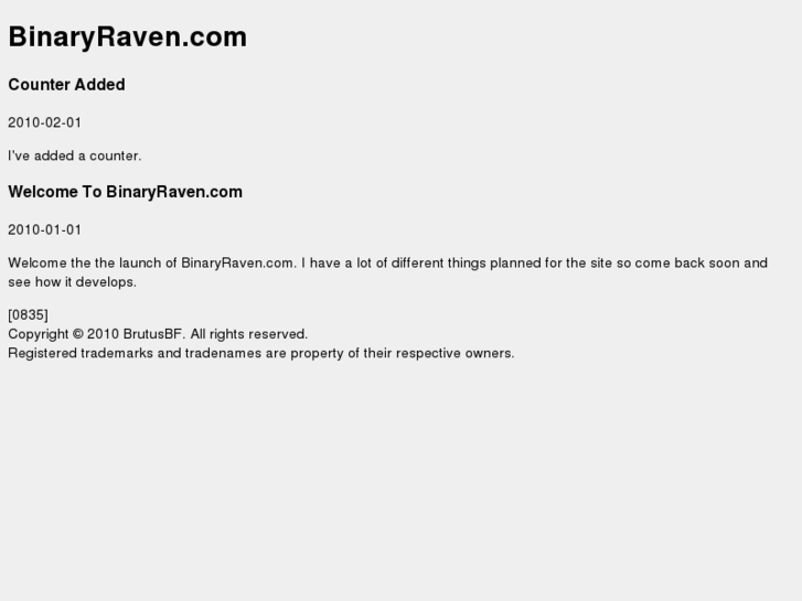 www.binaryraven.com