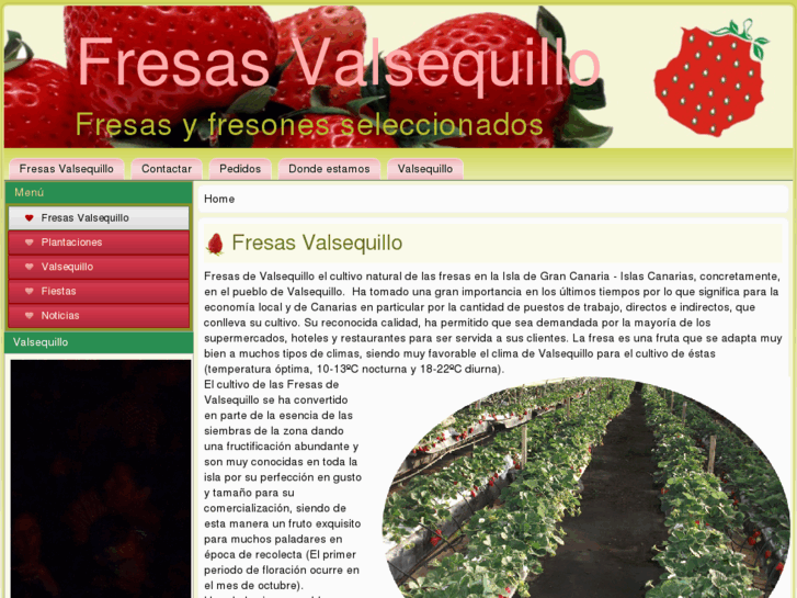 www.fresasvalsequillo.com