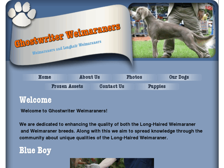 www.ghostwriterweimaraners.com