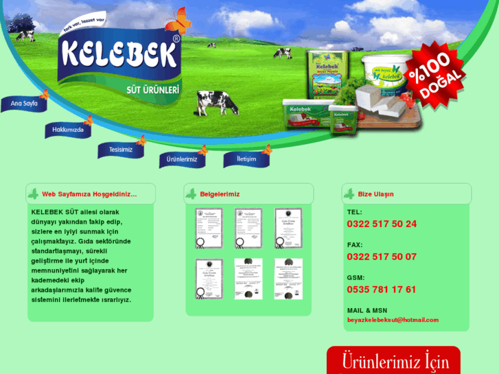 www.kelebeksut.com