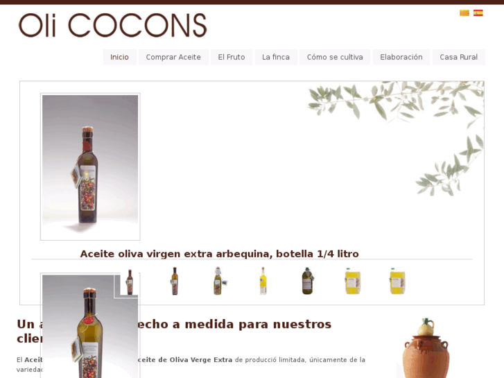 www.olicocons.com