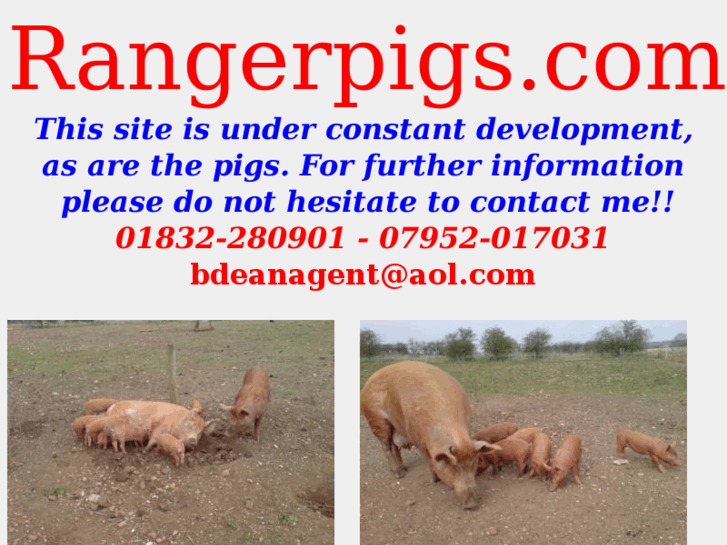 www.rangerpigs.com