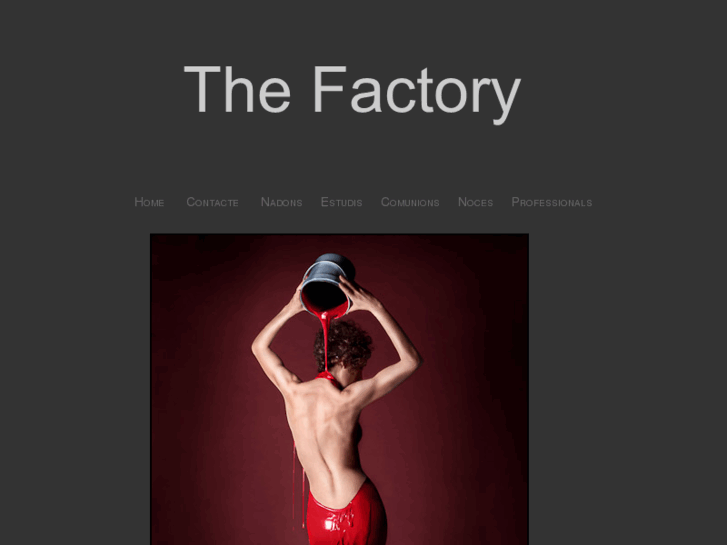 www.thefactoryfoto.com