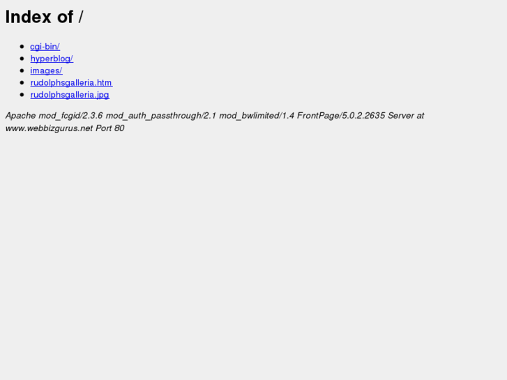 www.webbizgurus.net
