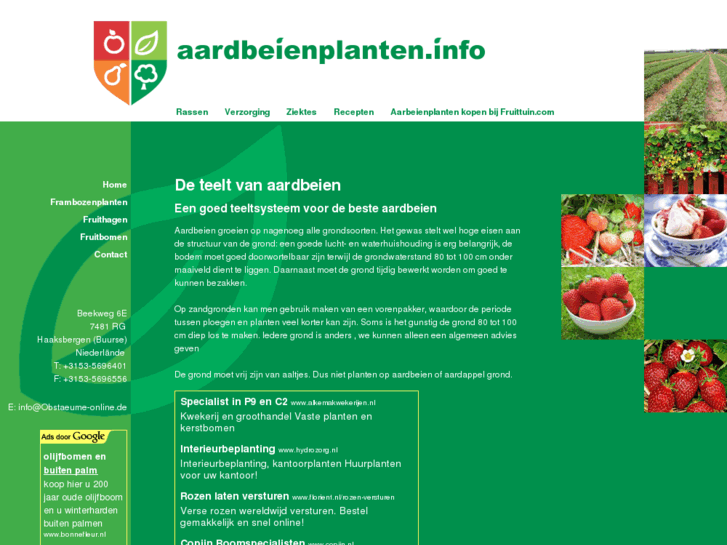 www.aardbeienplanten.info