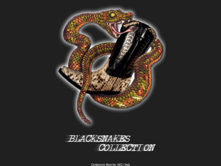 www.blacksnakes.net