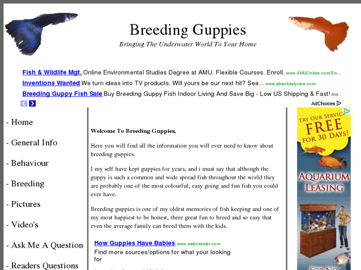 www.breeding-guppies.com