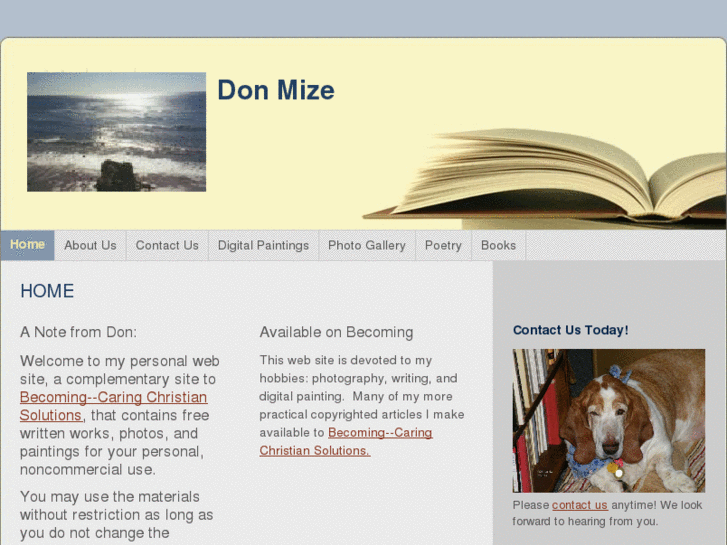 www.donmize.com