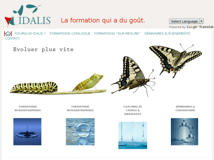 www.idalis-formation.com