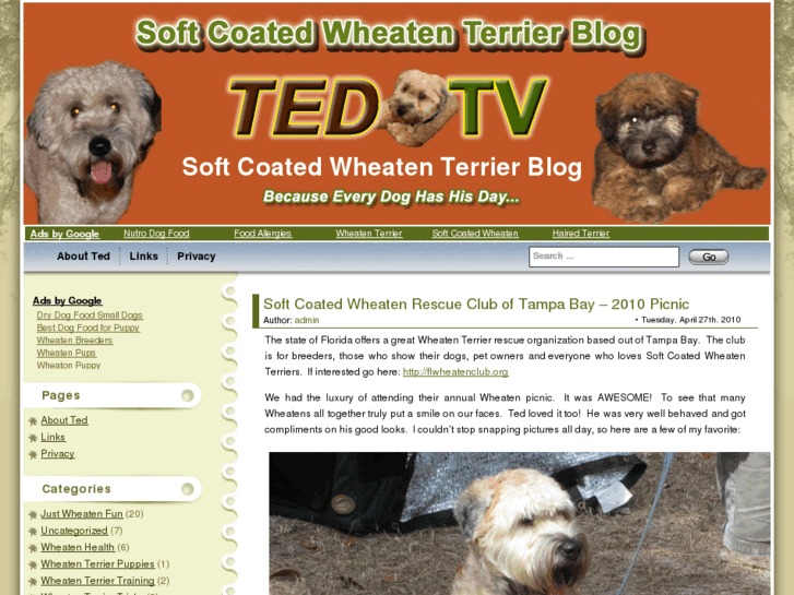 www.softcoatedwheatenterrierblog.com