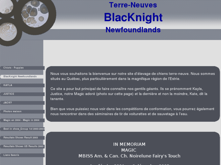 www.blacknightnewfoundlands.com