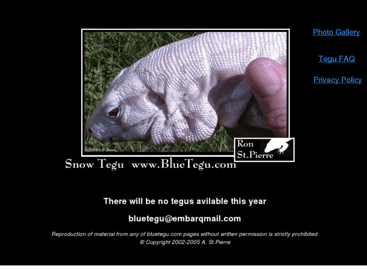 www.bluetegu.com